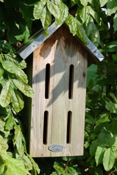 Vlinderkasten